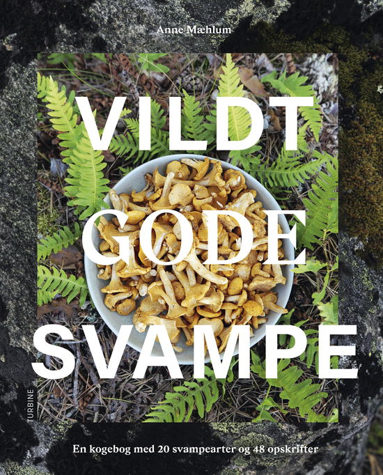 Anne Mæhlum · Vildt gode svampe (Hardcover Book) [1º edição] (2024)