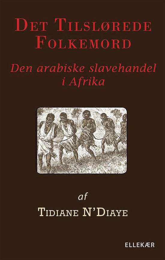 Cover for Tidiane N'Diaye · Det tilslørede folkemord (Paperback Book) [1. Painos] (2015)