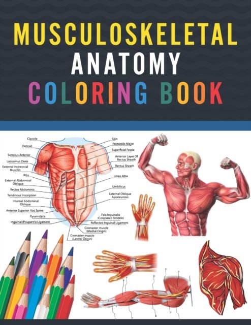 Cover for Publication Saijeylane Publication · Musculoskeletal Anatomy Coloring Book: Fun and Easy Musculoskeletal Anatomy Coloring Book. Learn The Muscular System With Fun &amp; Easy. Human Body Anatomy Coloring and Activity Book for Kids &amp; Toddlers. (Taschenbuch) (2021)