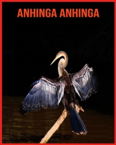 Cover for Linda Davis · Anhinga anhinga: Fatti di apprendimento divertenti sui Anhinga anhinga (Paperback Book) (2021)