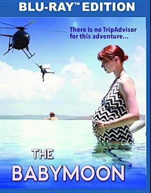 Cover for Babymoon (Blu-ray) (2017)