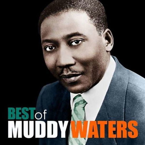 Cover for Muddy Waters · The Best of Muddy Waters (LP) (2017)