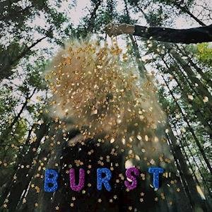 Cover for Snarls · Burst (LP) [Limited edition] (2021)