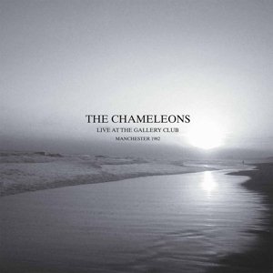 Cover for Chameleons · Live at the Gallery Club (LP) [Deluxe edition] (2015)
