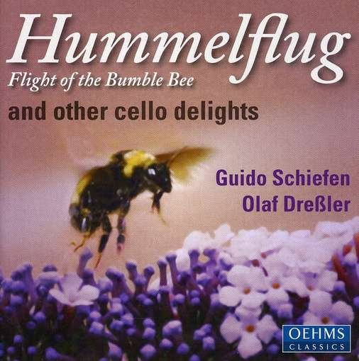 Cover for Rimsky-korsakov / Ravel / Rachmaninoff / Faure · Hummelflug Flights of the Bumble-bee (CD) (2005)