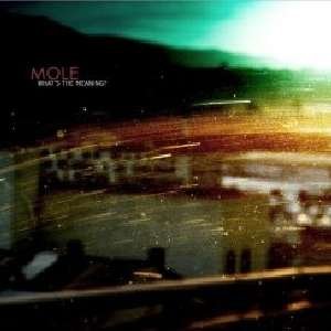 Cover for Mole · Whats The Meaning (CD) (2013)