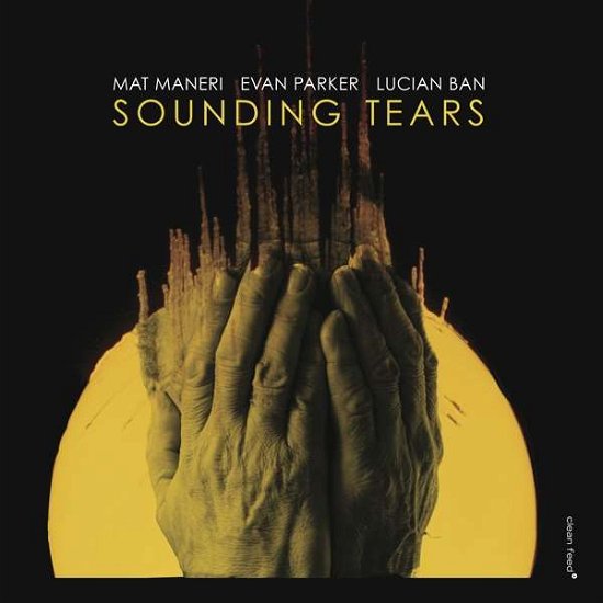 Cover for Mat Maneri · Sounding Tears with Evan Parker &amp; Lucian Ban (CD) (2017)