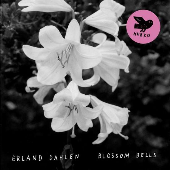 Cover for Erland Dahlen · Blossom Bells (LP) [180 gram edition] (2015)