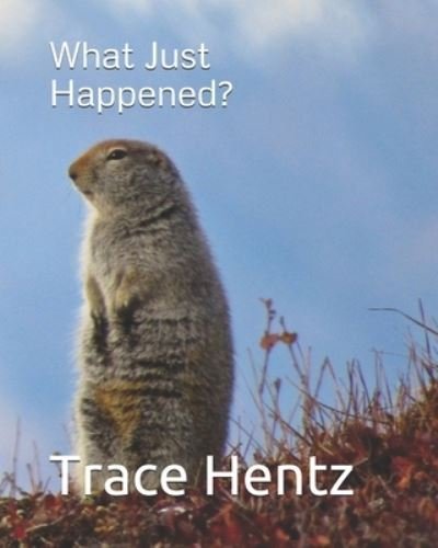Cover for Trace Lara Hentz · What Just Happened? (Pocketbok) (2021)