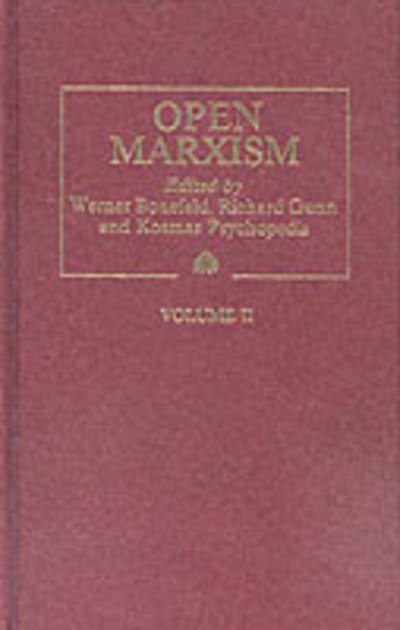 Open Marxism 2: Theory and Practice - Open Marxism -  - Books - Pluto Press - 9780745304250 - September 28, 1992