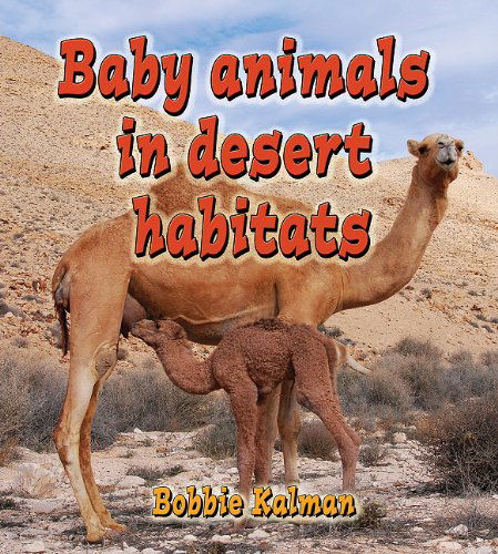 Cover for Bobbie Kalman · Baby Animals in Desert Habitats (Habitats of Baby Animals) (Hardcover Book) (2011)