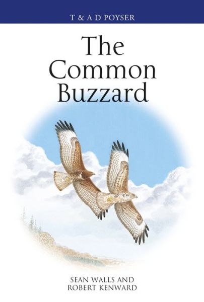 Cover for Sean Walls · The Common Buzzard - Poyser Monographs (Hardcover Book) (2020)