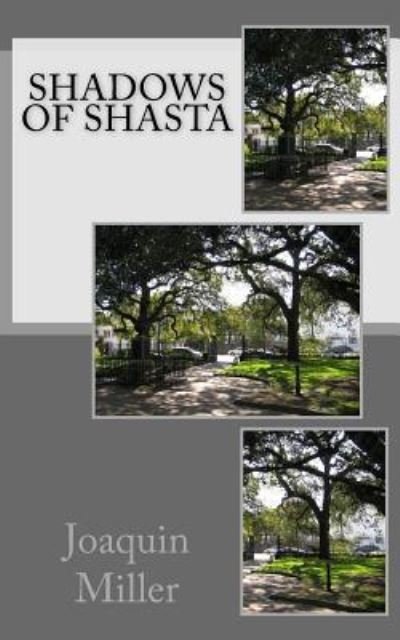 Shadows of Shasta - Joaquin Miller - Books - Createspace Independent Publishing Platf - 9781530303250 - February 29, 2016