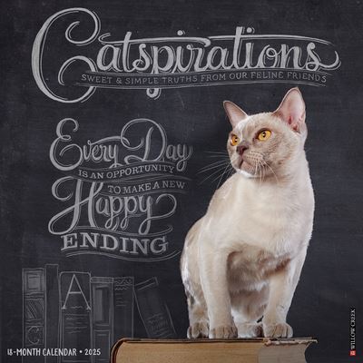 Catspirations 2025 12 X 12 Wall Calendar - Willow Creek Press - Merchandise - Willow Creek Press Calendars - 9781549242250 - September 10, 2024