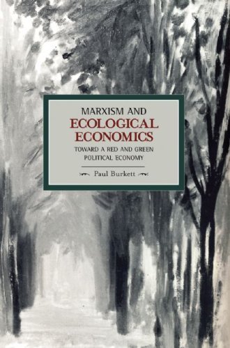 Cover for Paul Burkett · Marxism And Ecological Economics: Toward A Red And Green Poltical Economy: Historical Materialism, Volume 11 - Historical Materialism (Paperback Book) (2009)