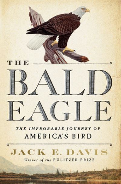 Cover for Davis, Jack E. (University of Florida) · The Bald Eagle: The Improbable Journey of  America's Bird (Hardcover Book) (2022)