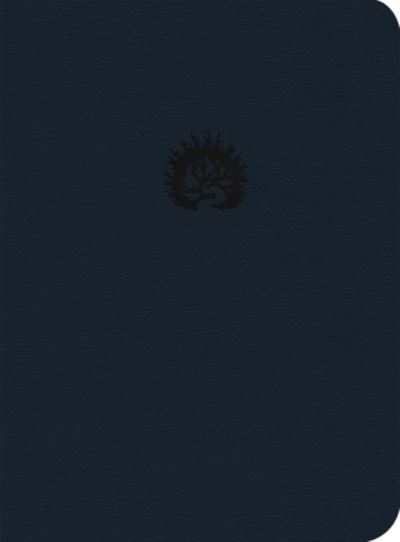 Cover for R. C. Sproul · ARA a Bblia de Estudo Da F Reformada, Capa Luxo, Azul Marinho, Estojo, Portuguese Edition (N/A) (2022)