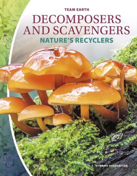 Decomposers and Scavengers - Team Earth - Emma Huddleston - Books - North Star Editions - 9781644943250 - 2020