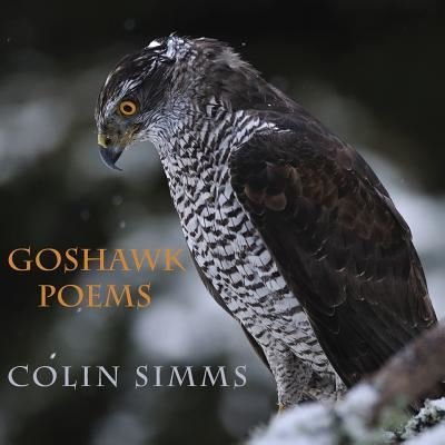 Cover for Colin Simms · Goshawk Poems (Paperback Book) (2017)