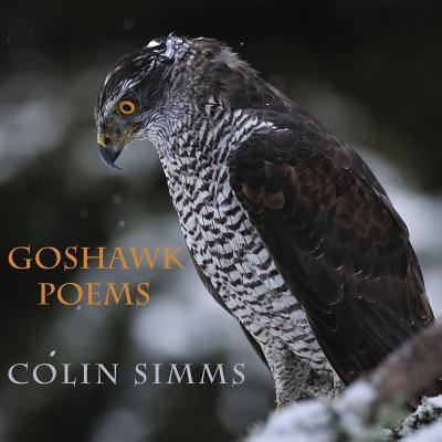 Cover for Colin Simms · Goshawk Poems (Taschenbuch) (2017)