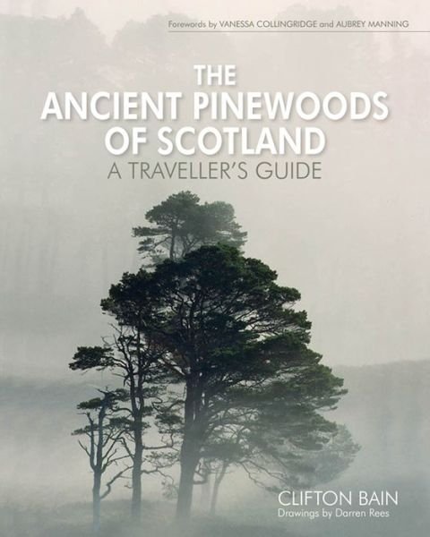 Cover for Clifton Bain · The Ancient Pinewoods of Scotland: A Traveller's Guide (Gebundenes Buch) (2013)