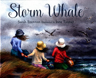 Cover for Sarah Brennan · Storm Whale (Hardcover Book) (2017)