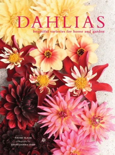 Cover for Naomi Slade · Dahlias: Beautiful varieties for home and garden (Gebundenes Buch) (2018)