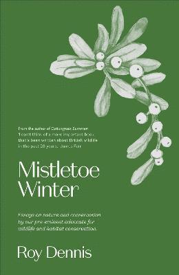 Mistletoe Winter - Roy Dennis - Livros - Saraband - 9781913393250 - 28 de outubro de 2021