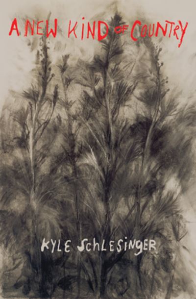 Cover for Kyle Schlesinger · A New Kind of Country (Paperback Book) (2020)