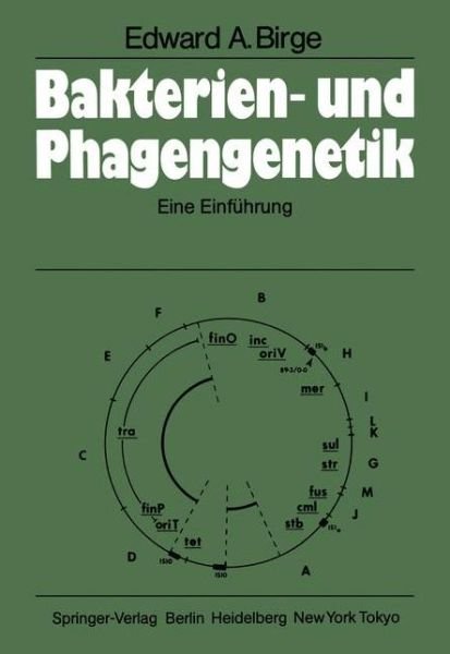 Cover for Birge, Edward A. (Arizona State University, Tempe, AZ, USA) · Bakterien- und Phagengenetik (Paperback Bog) [German edition] (1984)