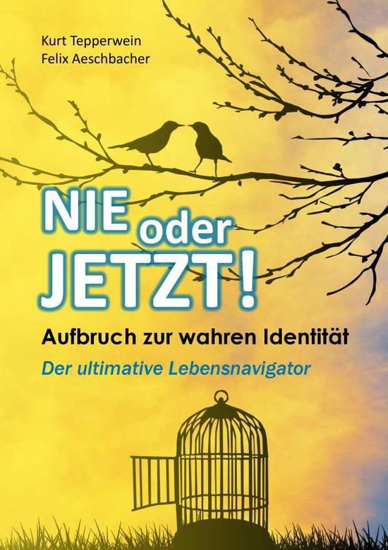 Cover for Tepperwein · Nie oder Jetzt! Aufbruch zur (Bog)