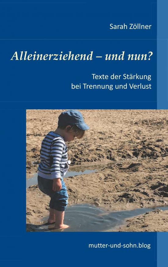 Cover for Zöllner · Alleinerziehend - und nun? (Book)