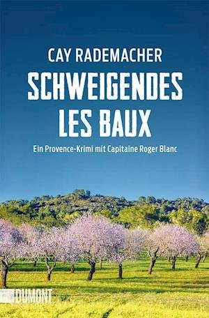 Cover for Cay Rademacher · Schweigendes Les Baux (Book) (2022)