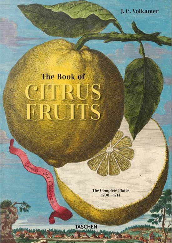 Cover for Iris Lauterbach · J. C. Volkamer. Citrus Fruits (Gebundenes Buch) [Multilingual edition] (2020)