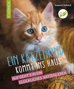 Cover for Susanne Vorbrich · Ein Katzenkind kommt ins Haus (Buch) (2024)