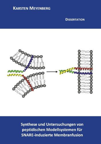 Cover for Karsten Meyenberg · Synthese Und Untersuchungen Von Peptidischen Modellsystemen Fur Snare-induzierte Membranfusion (Paperback Book) [German edition] (2011)