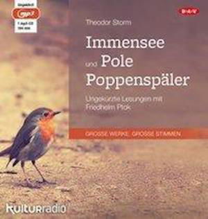 Immensee / Pole Poppenspäler,MP3-CD - Storm - Bücher - Der Audio Verlag - 9783862316250 - 