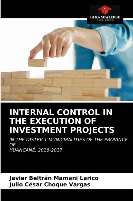 Cover for Javier Beltrán Mamani Larico · Internal Control in the Execution of Investment Projects (Paperback Book) (2021)