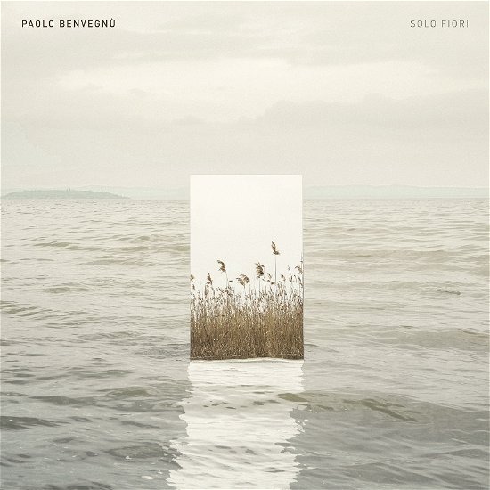 Cover for Paolo Benvegnu · Solo Fiori (LP) (2023)