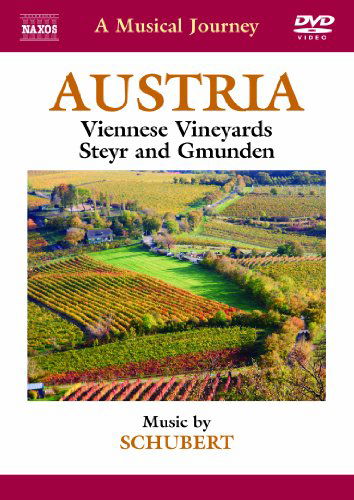 Musical Journey: Austria - Schubert / Hokanson / Ensemble Villa Musica - Elokuva - NAXOS - 0747313533251 - tiistai 26. helmikuuta 2013