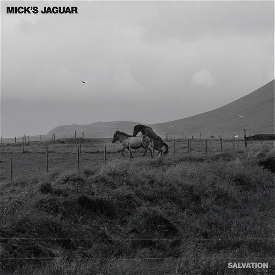 Cover for Mick's Jaguar · Salvation (LP) (2022)