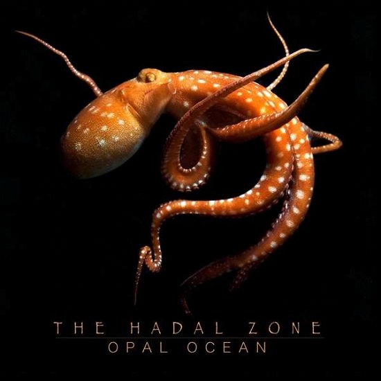 Hadal Zone - Opal Ocean - Music - FLOWFISH - 4250727801251 - November 13, 2020
