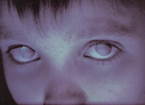 Cover for Porcupine Tree · Fear of a Blank Planet (CD) [Japan Import edition] (2007)