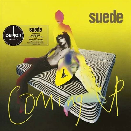 Cover for Suede · Coming Up (LP) (2015)