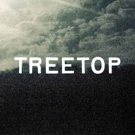 Cover for Vojta Drnek / Richard Sanda / Michal Selep · Treetop (CD) (2021)
