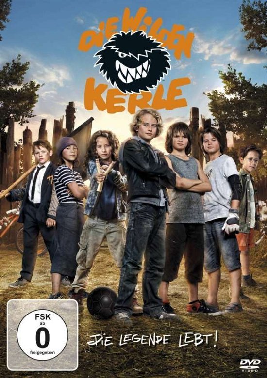 Cover for Die Wilden Kerle · Die Wilden Kerle - Die Legende Lebt (DVD) (2016)