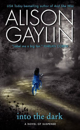Cover for Alison Gaylin · Into the Dark: a Novel of Suspense (Brenna Spector Novel) (Paperback Book) [Reissue edition] (2013)