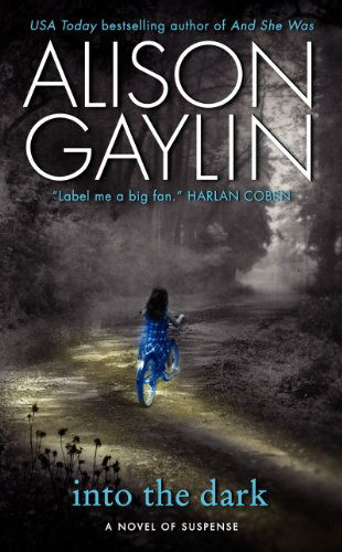 Into the Dark: a Novel of Suspense (Brenna Spector Novel) - Alison Gaylin - Books - Harper - 9780061878251 - January 29, 2013