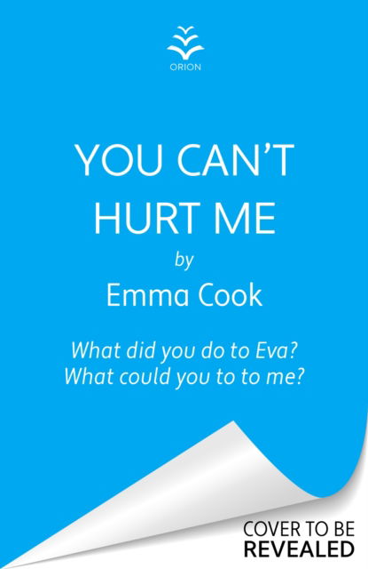 Cover for Emma Cook · You Can't Hurt Me: The most addictive, heart-pounding thriller you’ll read in 2024 (Inbunden Bok) (2024)