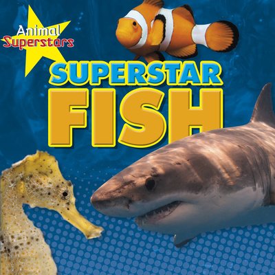Cover for Louise Spilsbury · Fish Superstars - Animal Superstars (Pocketbok) (2019)